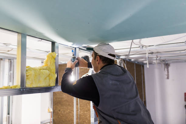 Best Eco-Friendly Insulation in Coats, NC